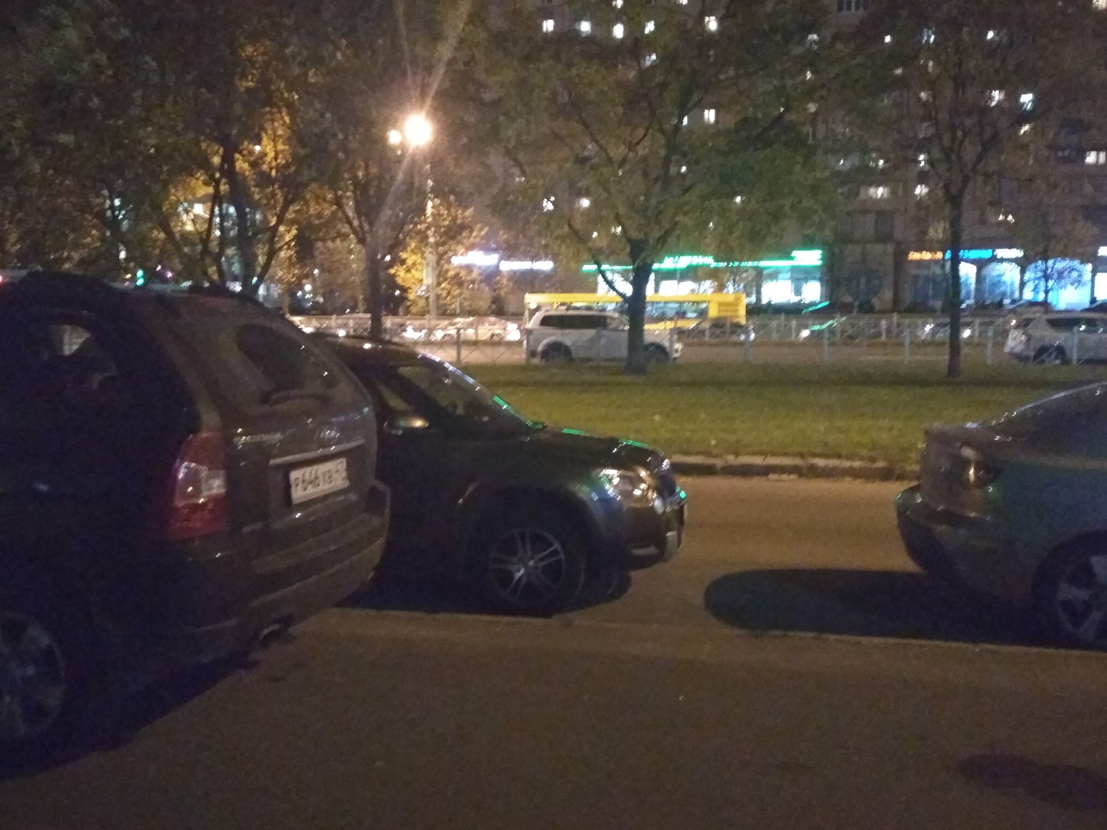 What's wrong with these people? - My, Saint Petersburg, Parking, Cattle, Longpost