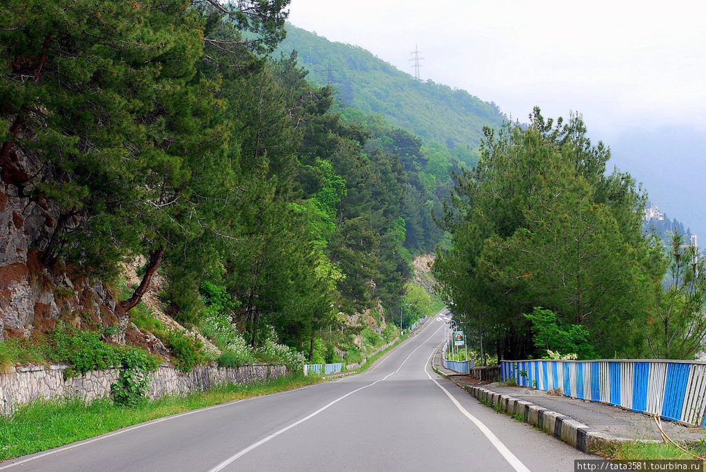 Абхазская дорога. Дорога на озеро Рица Абхазия. Абхазия серпантин на озеро Рица. Дорога к озеру Рица серпантин. Горы дорога к озеру Рица.
