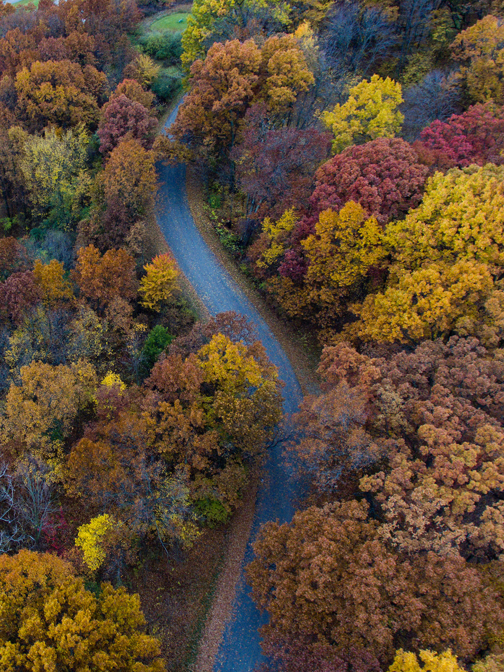 Autumn - Autumn, Moscow, Oleg Batluk, Longpost, Story, Text, Positive, Mentally