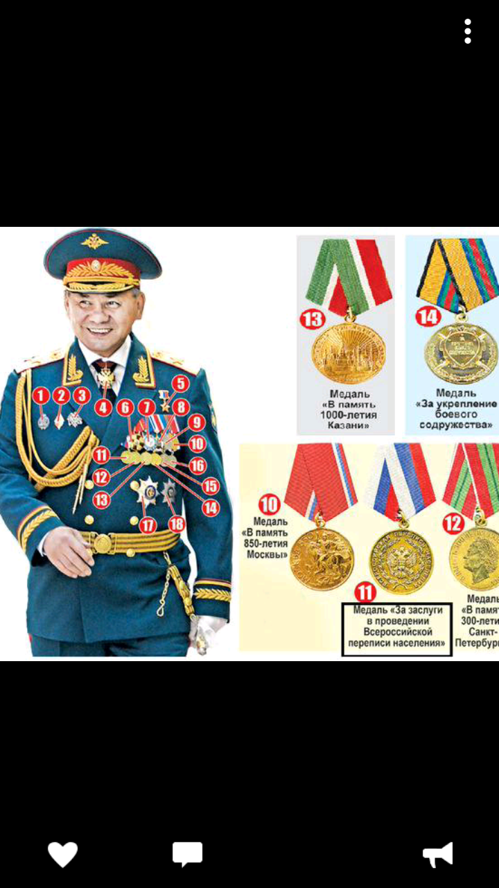 Order bearer - Sergei Shoigu, The order, Mummers, Politics, Medals