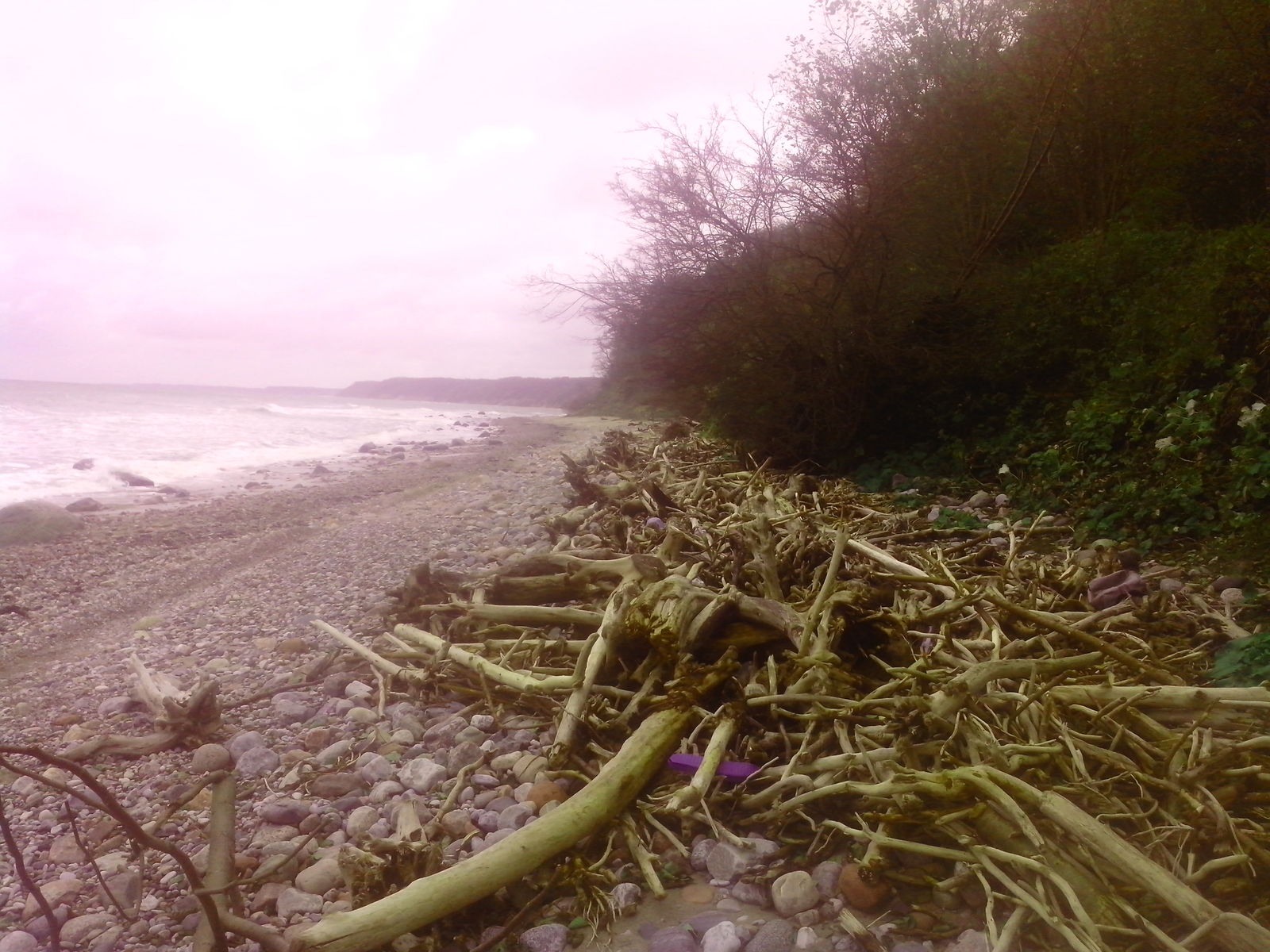 Little walk. - My, Baltika, Autumn, Longpost, , Sea, Relaxation, Travels, Russia