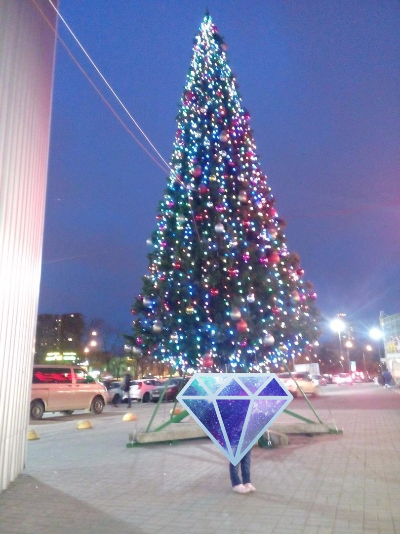 St. Petersburg has already dressed Christmas trees - Christmas trees, New Year, Saint Petersburg