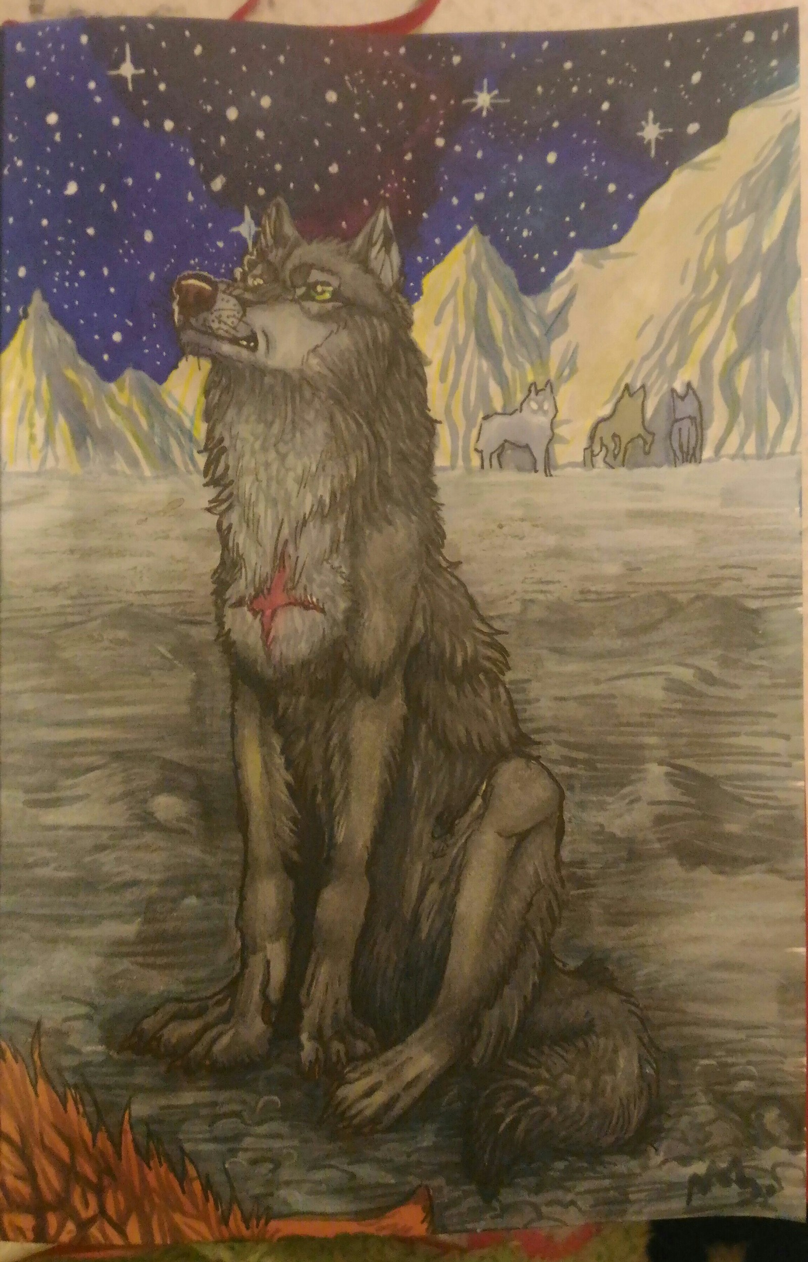 Tsume. - My, Wolf, Drawing, Order, Anime, Longpost