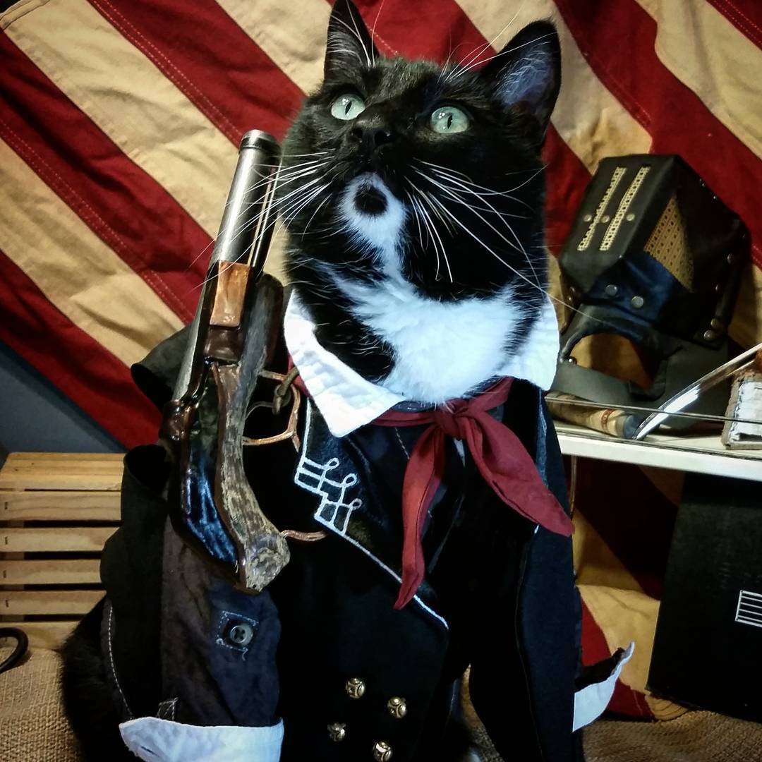 KotoCosplay #4 - Bioshock Infinite, The punisher, Cosplay, cat, Harry Potter, Very strange things, Doctor Who, GIF, Longpost, TV series Stranger Things