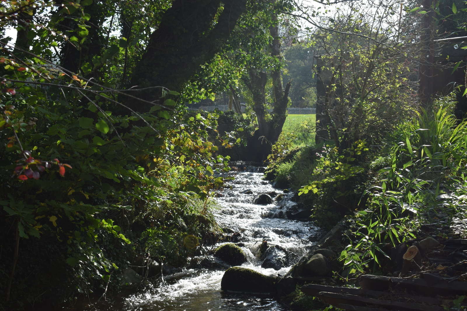 Overnight Walk in Wales(1) - My, Walk, The mountains, The hills, The photo, Longpost