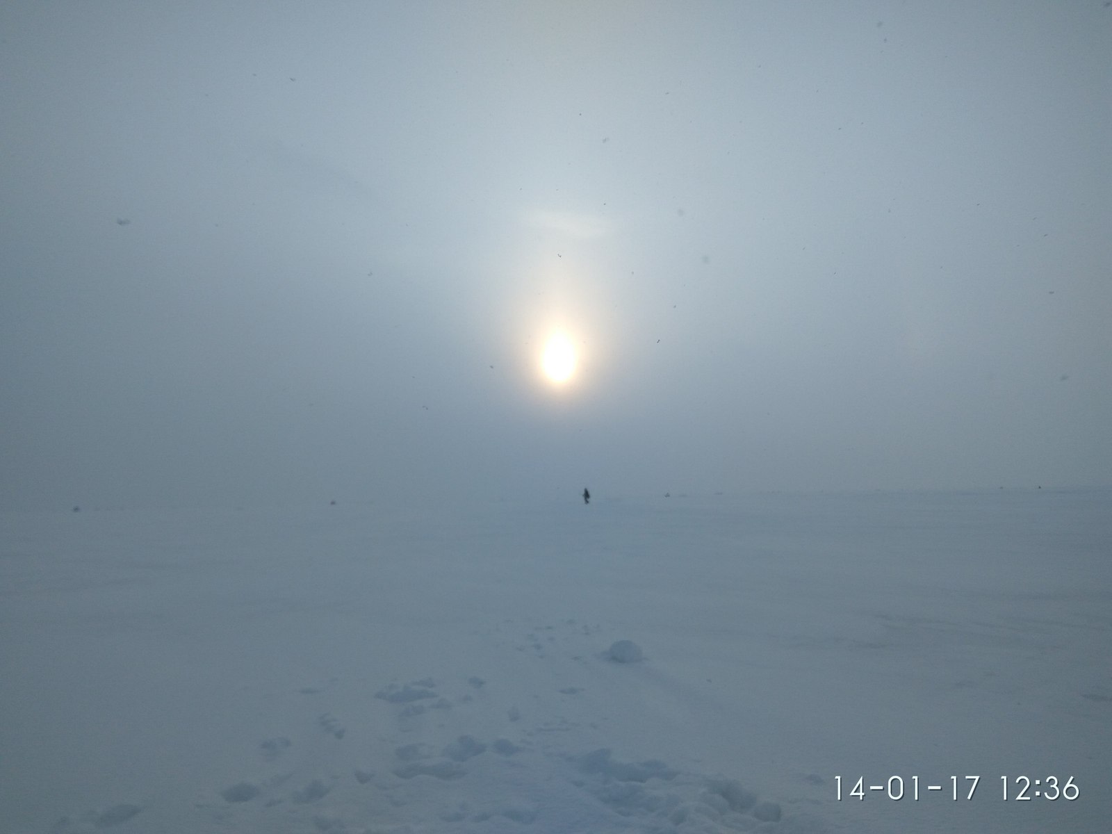 Waiting for frost... - My, Fishing, Winter fishing, Leningrad region, Roach, Ice, Snow, Longpost