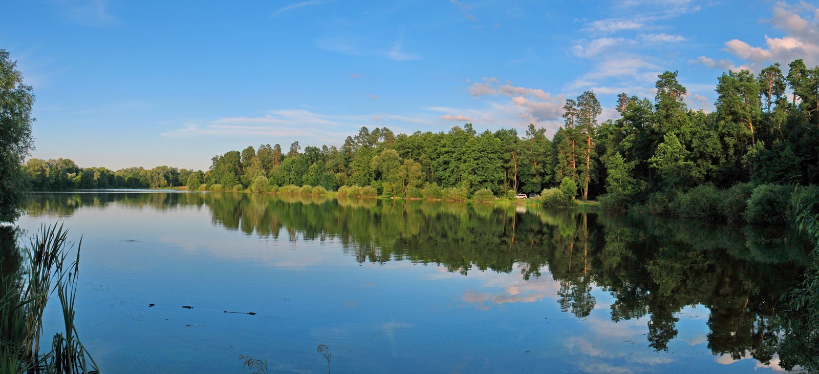 Lake Beryozka in Kyiv - My, Landscape, Kiev