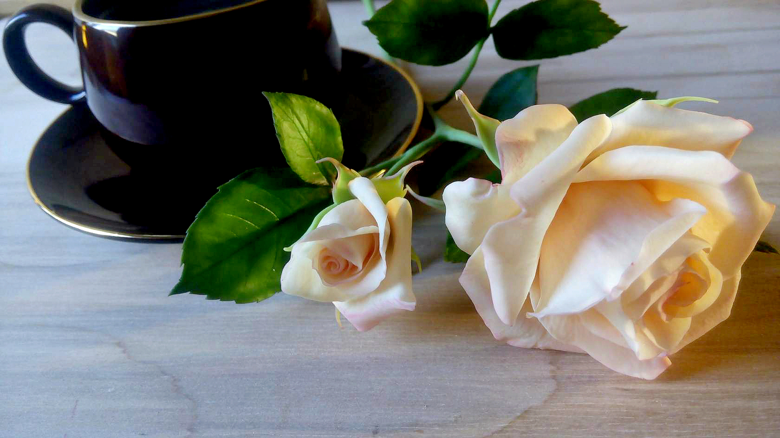 Creamy handmade rose - My, , Polymer clay, , Needlework without process, Cold porcelain, Needlework, Longpost