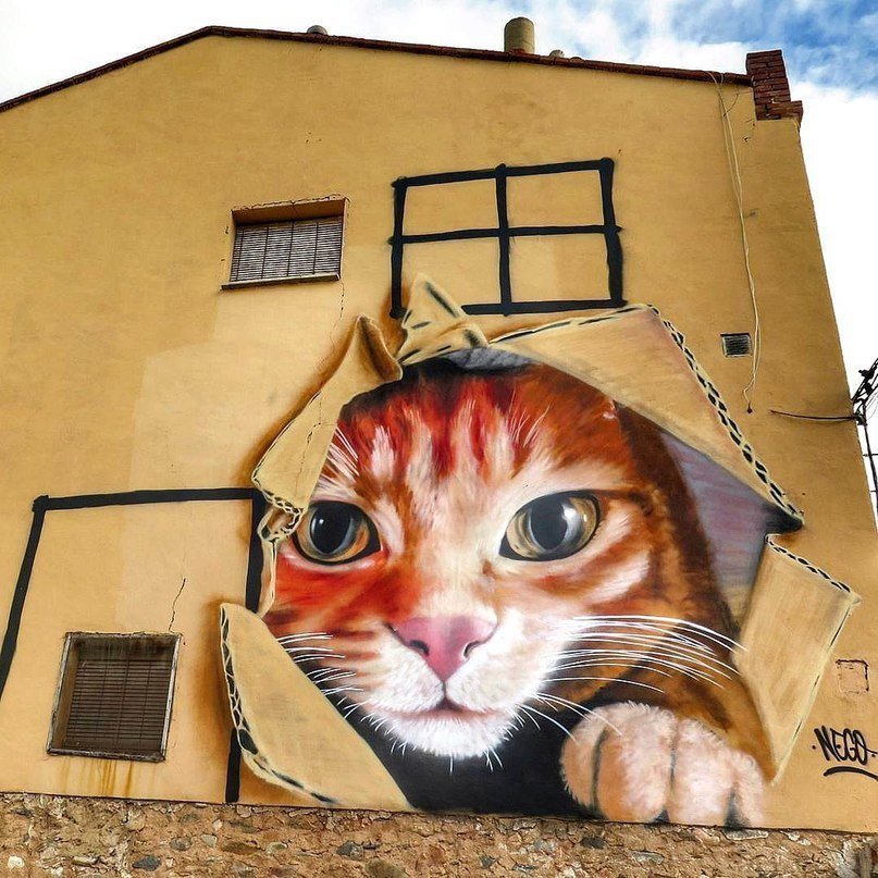 Graffiti - Street art, Graffiti, Art, cat