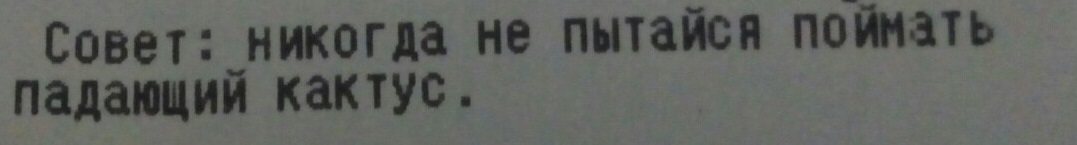 Номинация: лайфхак недели! - Моё, Лайфхак, Совет, Текст, Кактус