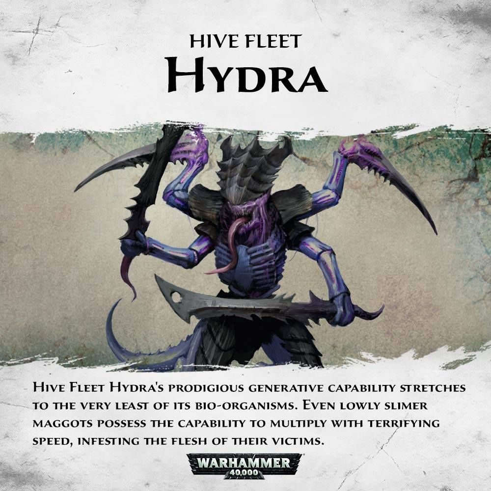 New hive fleets - Warhammer 40k, Tyranids, Longpost