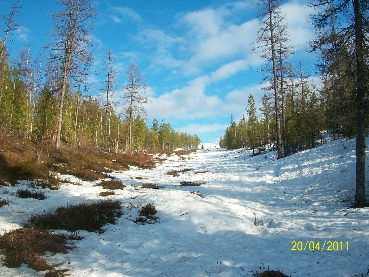 Nadymsky district, spring - My, Spring, Nadym, Nadym District, Nature, Longpost