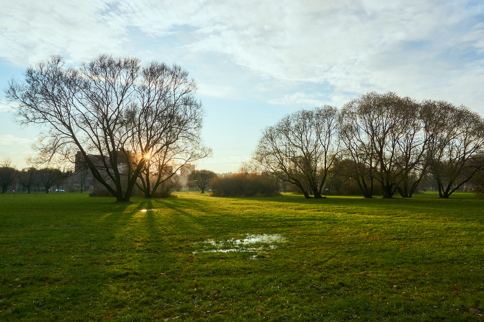 Photo hunting - My, Beginning photographer, Sosnovka Park, Longpost