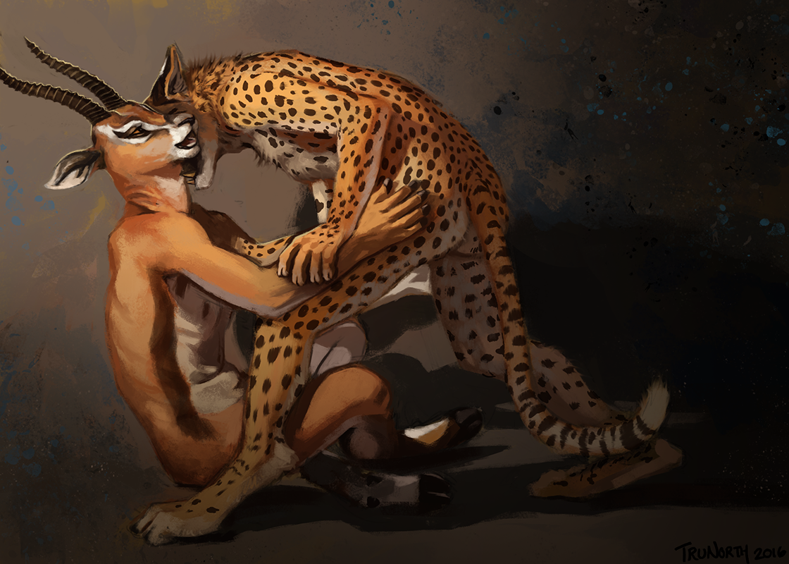 I'll just try.. - NSFW, Trunorth, Furry, Furotica male, Furry gay