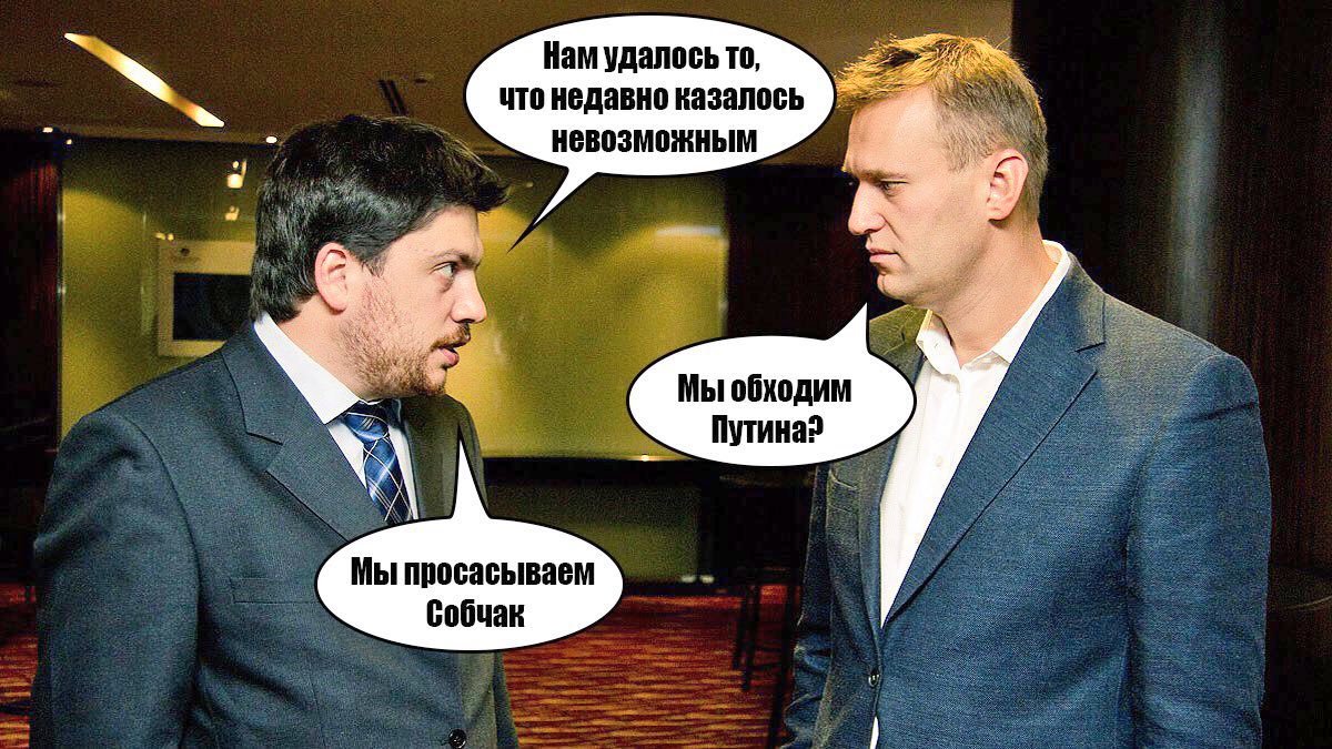 Got hit by a horse. The victim escaped with a slight fright. - Politics, Humor, Alexey Navalny, Sobchak, Volkov, Leonid Volkov