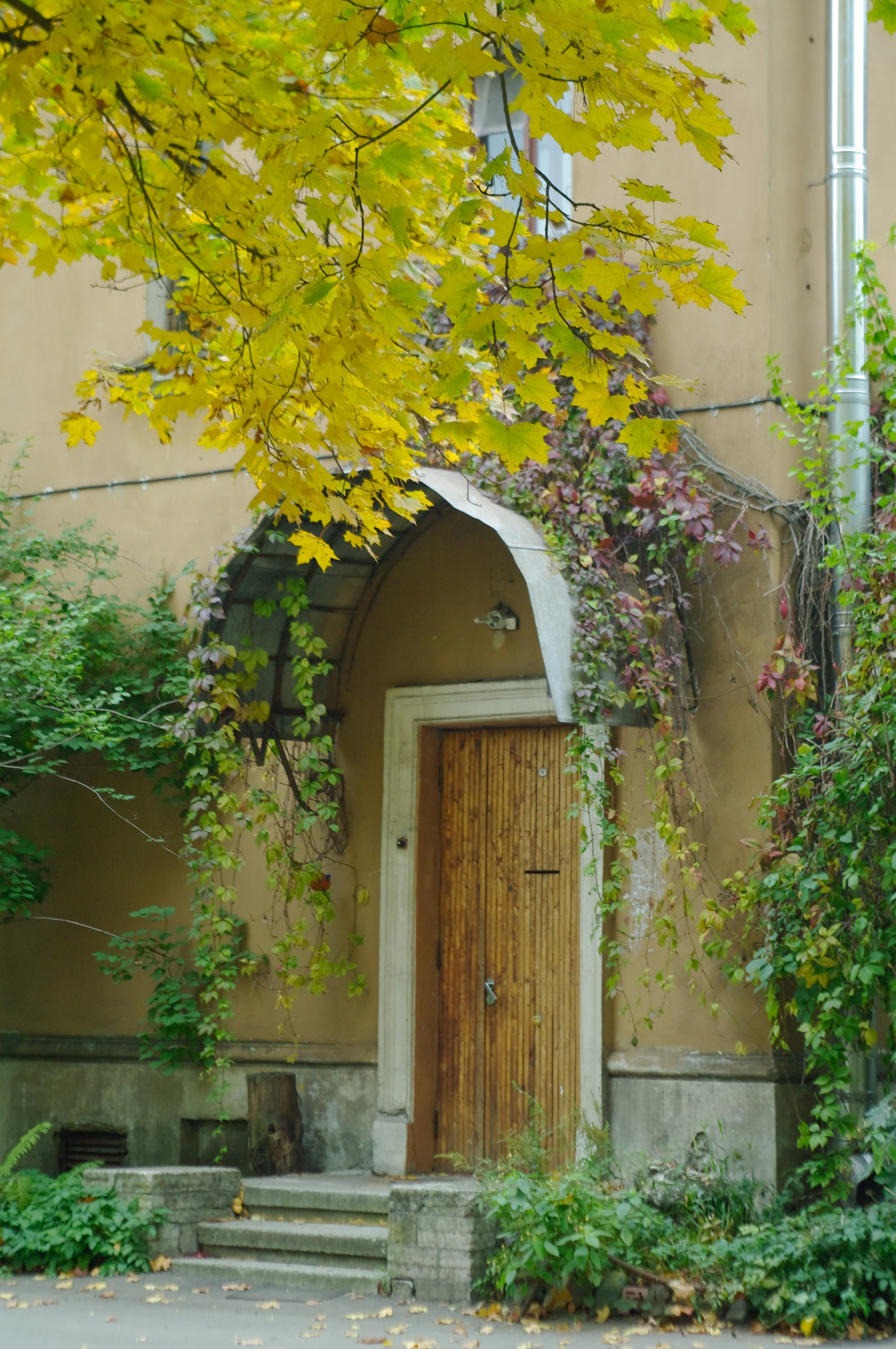 A little more Petersburg comfort. - My, The photo, Autumn, Saint Petersburg, Black River, Village, Courtyard, Porch, Longpost