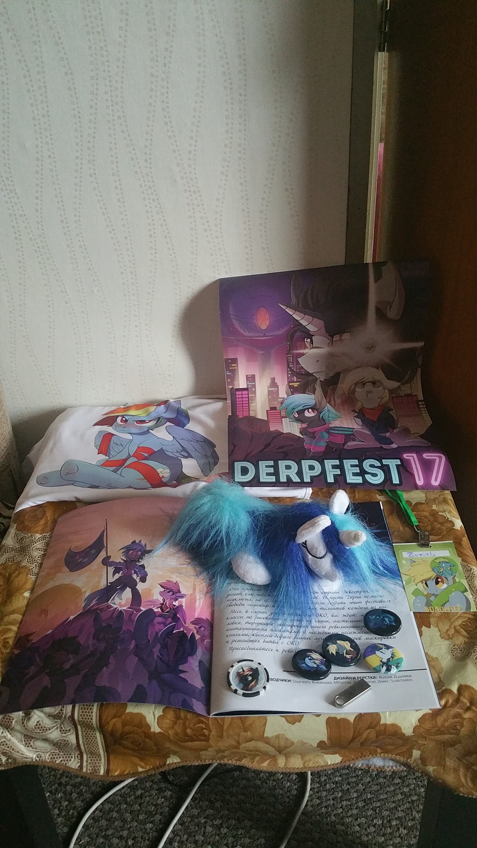 ДерпФест 2017. - Моё, My Little Pony, Derpfest, Отчет, Брони, Длиннопост