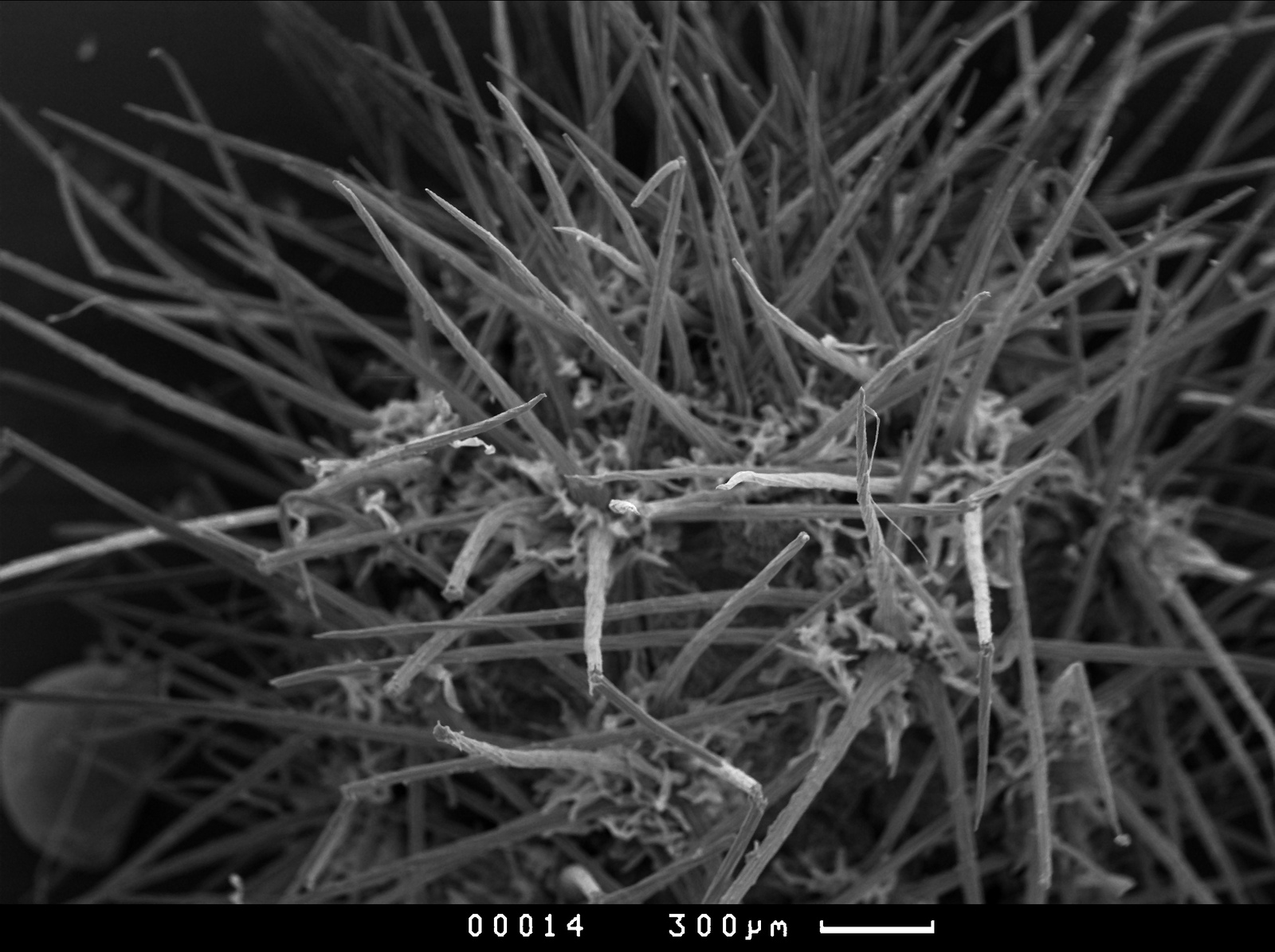 Металл под микроскопом фото