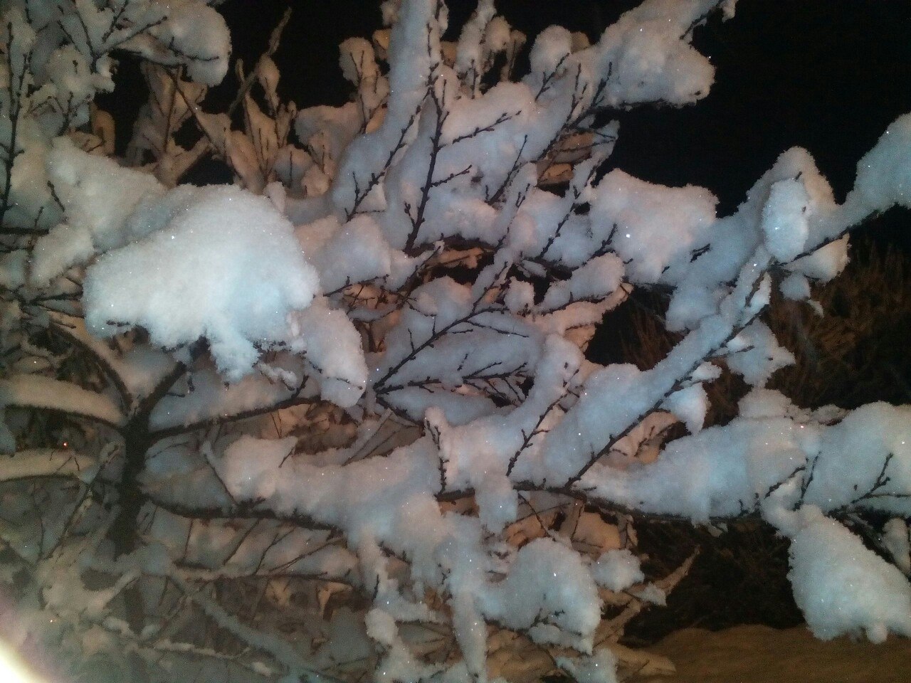 Winter has come beautifully - My, Snow, Beautiful, Nature, Snowfall, Longpost