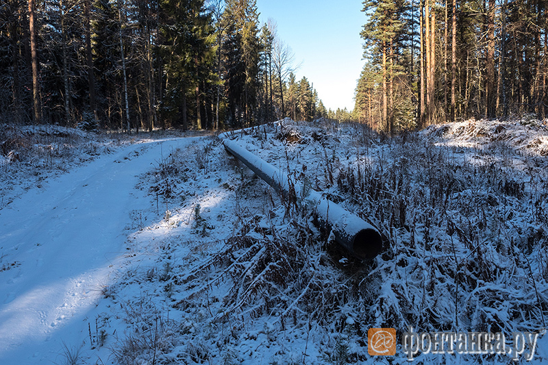 Fontanka learned about the disappeared gas pipeline for 1.8 billion rubles near St. Petersburg - Society, Russia, Saint Petersburg, Gazprom, Gas pipeline, Disappearing, Theft, Tvrainru, Longpost, Theft