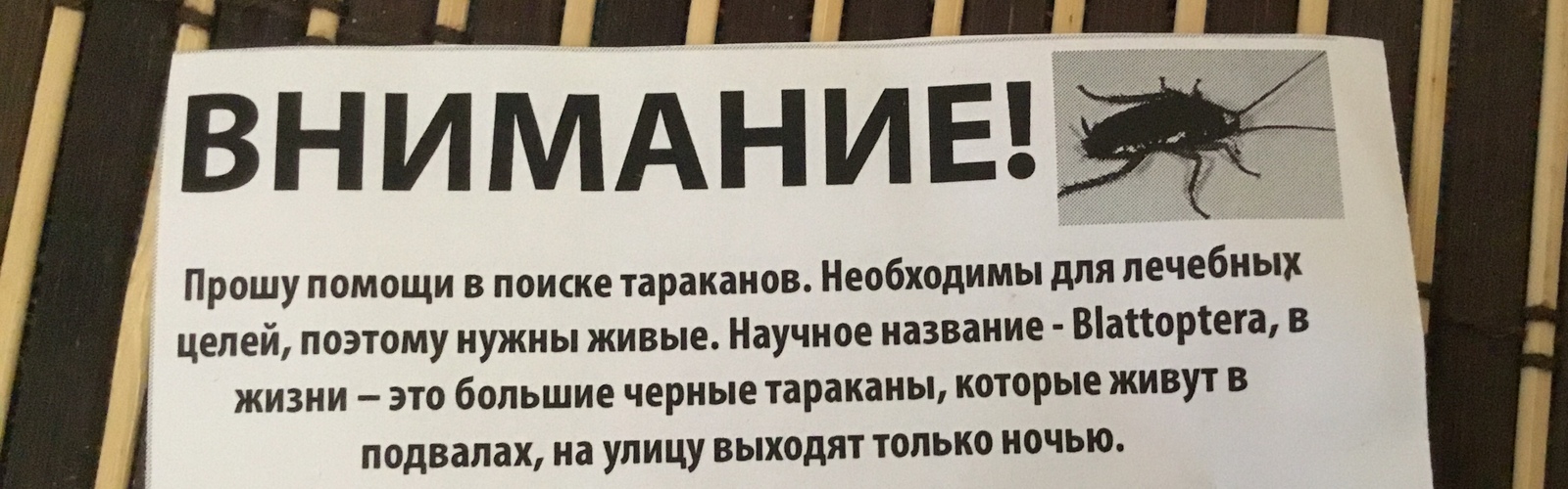 Куплю тараканов - Моё, Тараканы, Общежитие, Объявление