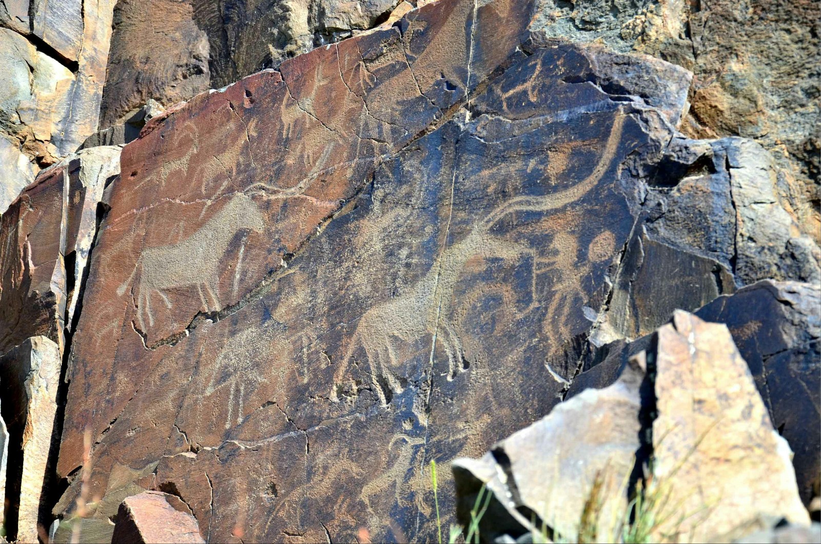 Written rocks on the Ili River. - Almaty, Tamgaly Tas, Kapchagay, Kazakhstan, Tourism, Ethno, Story, Buddhism, Longpost