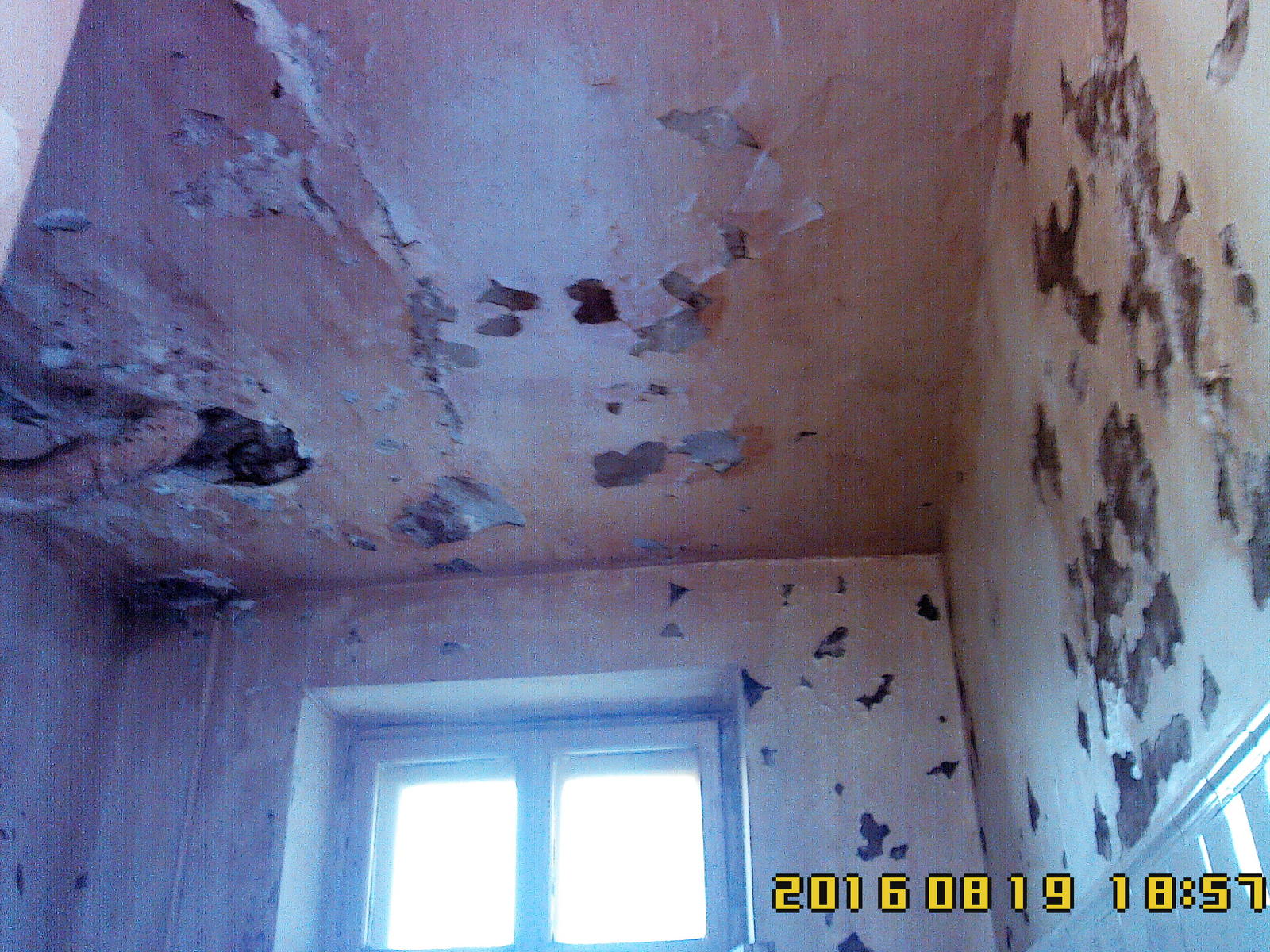 алёшино туберкулезная больница. туберкулезная больница волгоград. противотуберкулезный диспансер самара архитектурная 184. туберкулезная волжский. противотуберкулезный стационар.