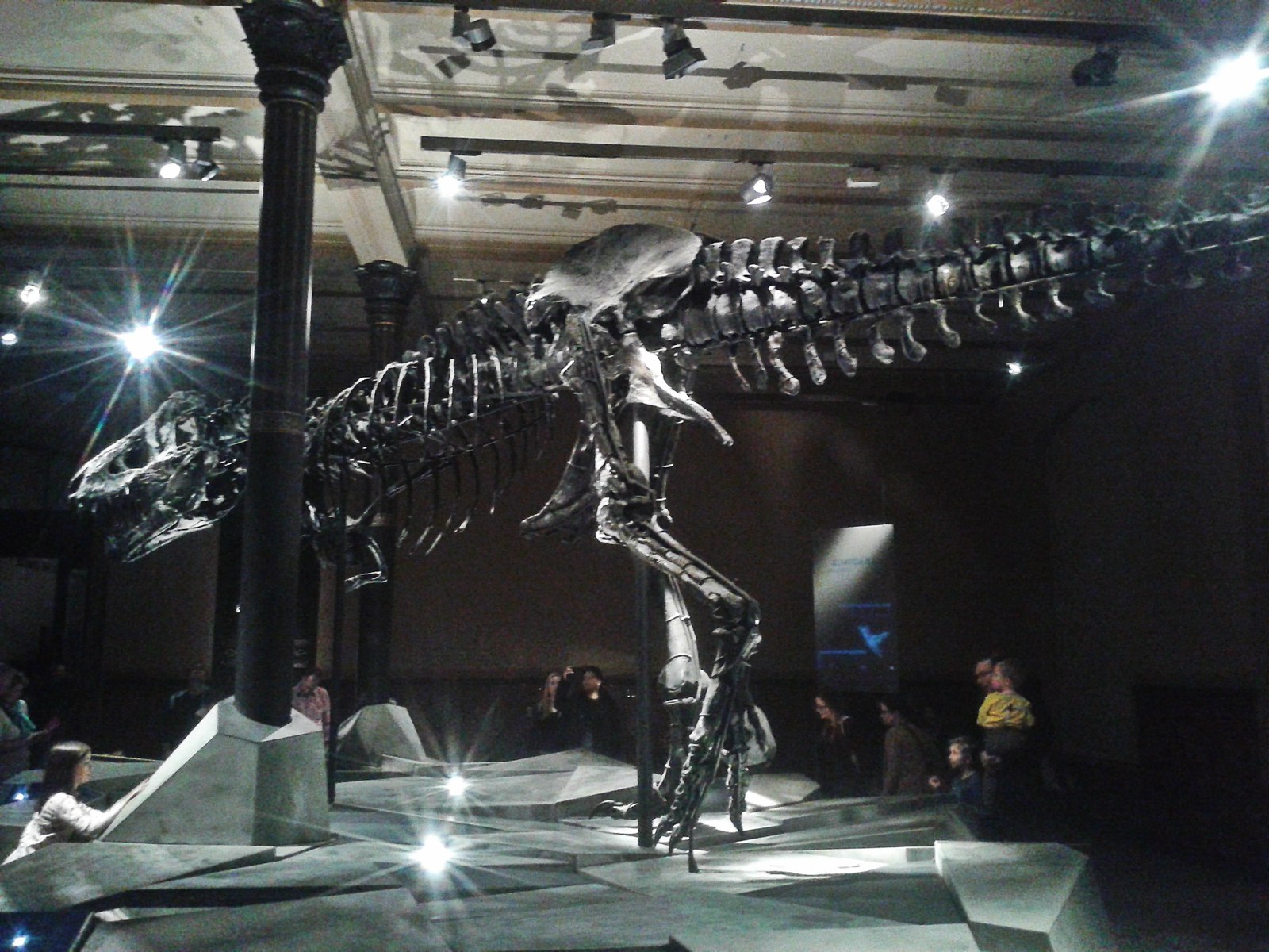 Tristan - My, Dinosaurs, Museum, Paleontology, Longpost