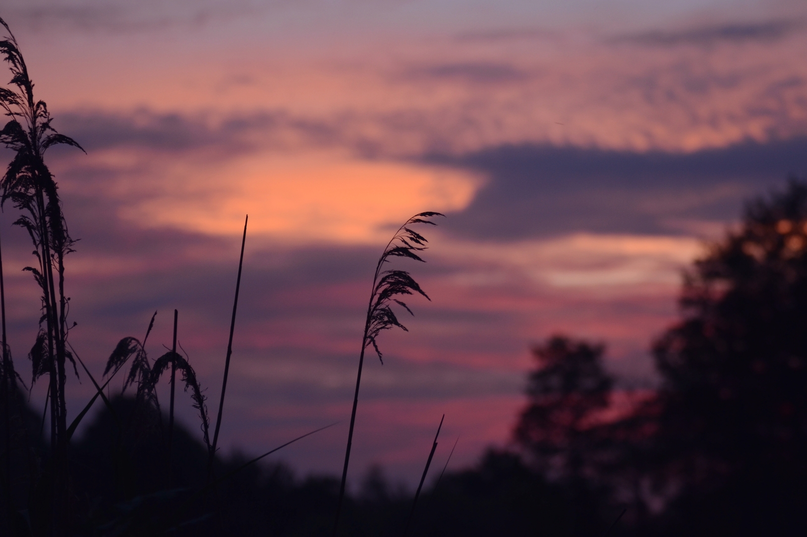 twilight compilation - My, The photo, Night, Morning, Nikon d3100, Nikon, Nature, wildlife, dust, Longpost