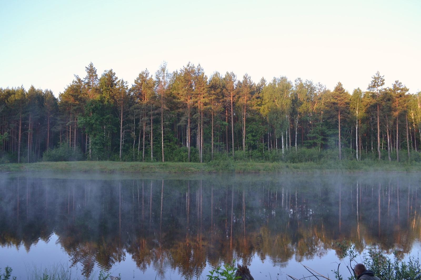 twilight compilation - My, The photo, Night, Morning, Nikon d3100, Nikon, Nature, wildlife, dust, Longpost