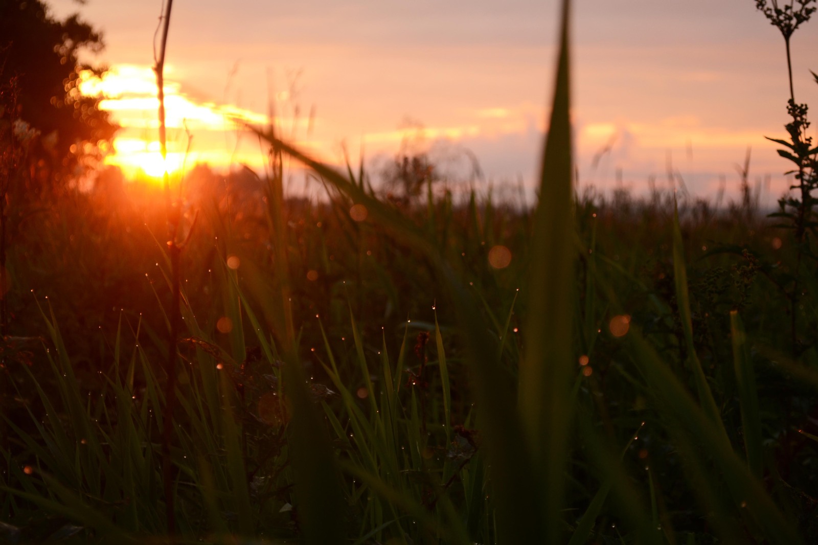 twilight compilation - My, The photo, Night, Morning, Nikon d3100, Nikon, Nature, wildlife, dust, Longpost