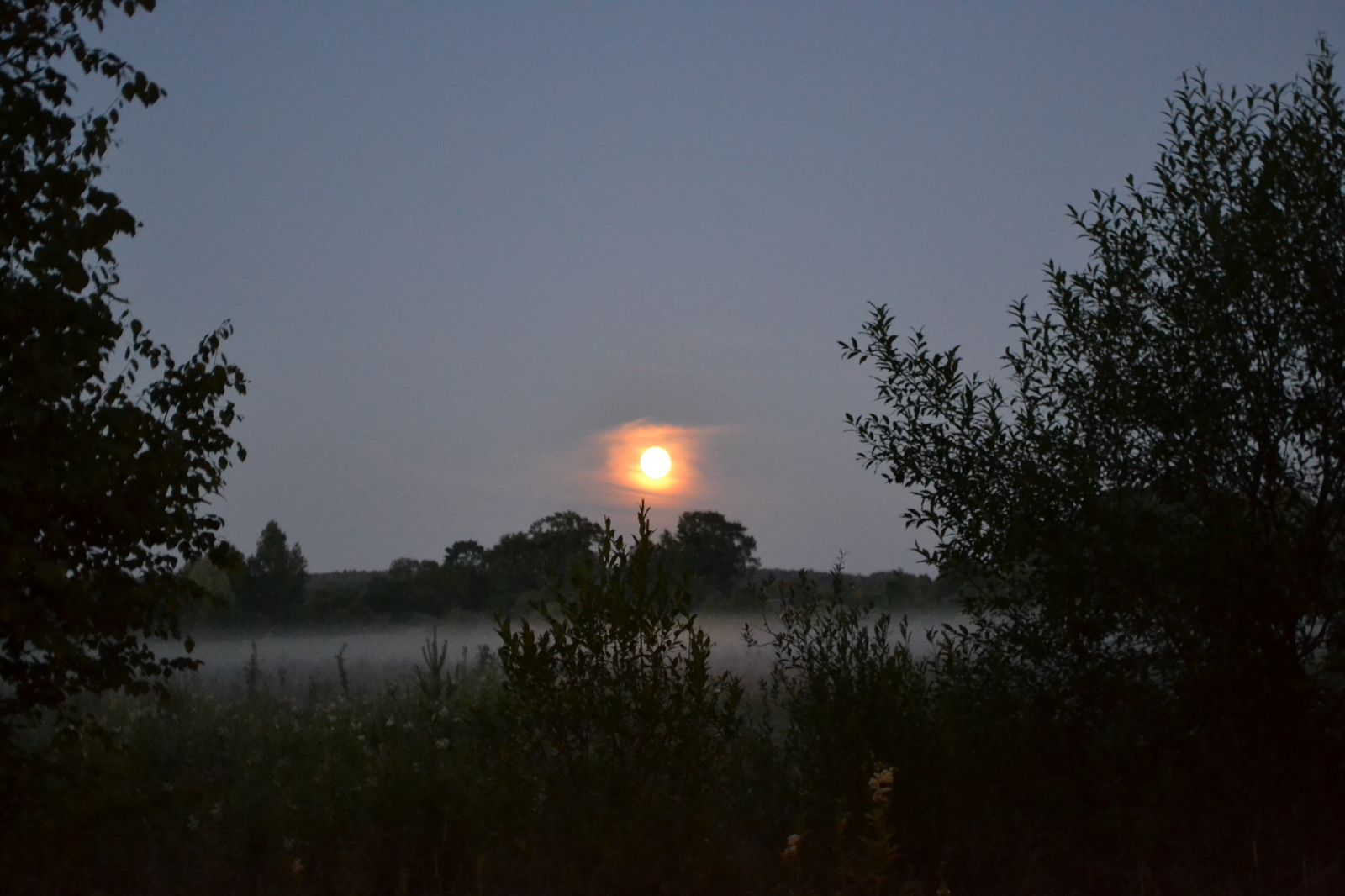 twilight compilation - My, The photo, Night, Morning, Nikon d3100, Nikon, Nature, wildlife, dust, Longpost