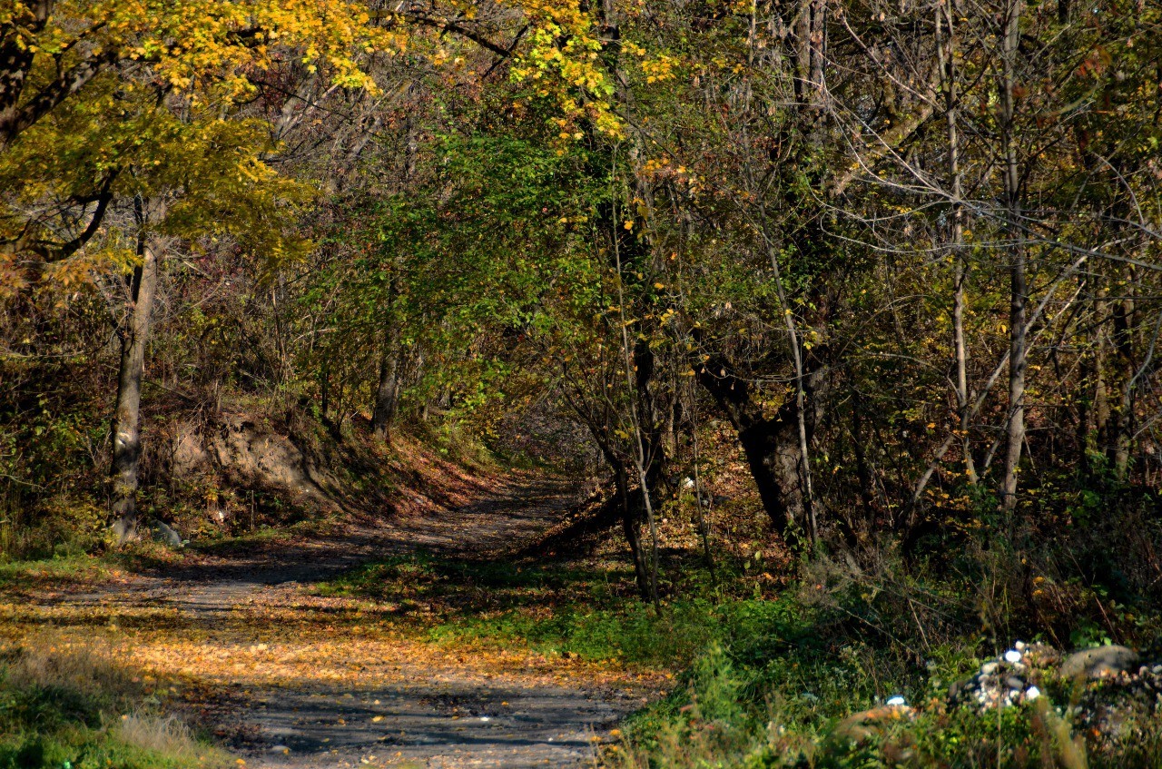 Autumn in Kabardino-Balkaria - My, Autumn, Nature, Landscape, Longpost