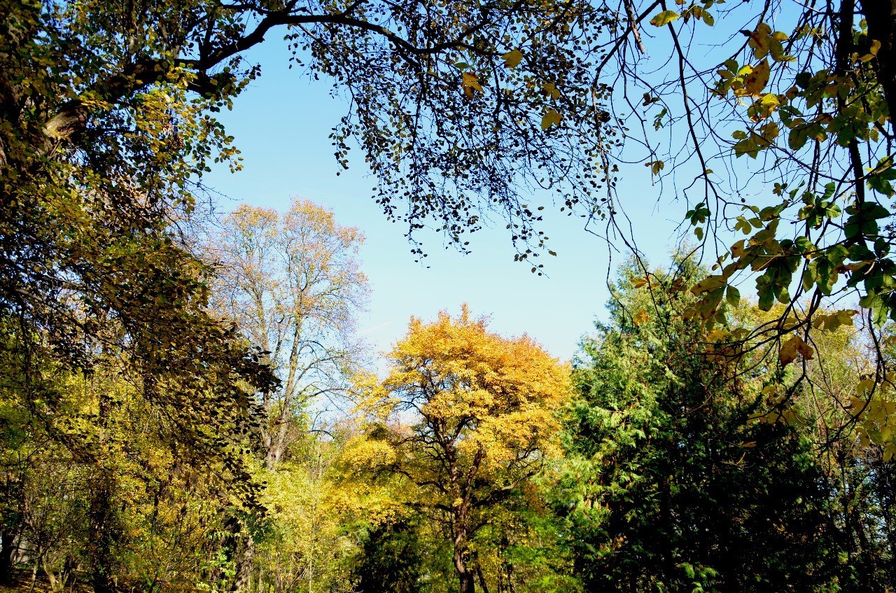 Autumn in Kabardino-Balkaria - My, Autumn, Nature, Landscape, Longpost