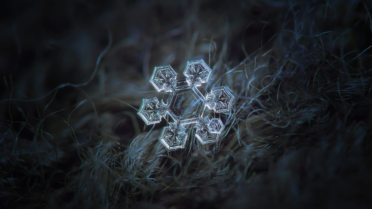 Closeup of snowflakes, as a separate view of the beautiful - Longpost, Snowflake, Beautiful, Macro photography