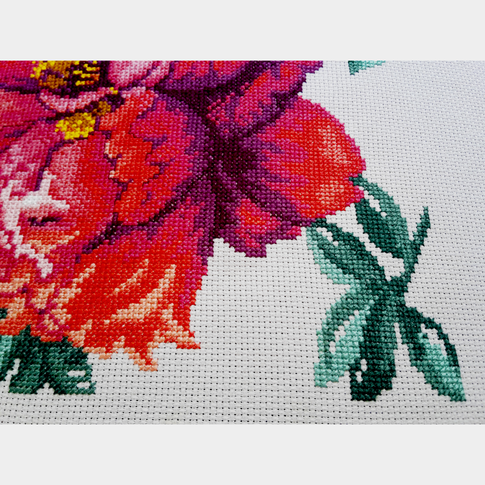 Cross embroidered picture Peonies - My, Needlework without process, , Needlework, Cross-stitch, Needlemen, Longpost