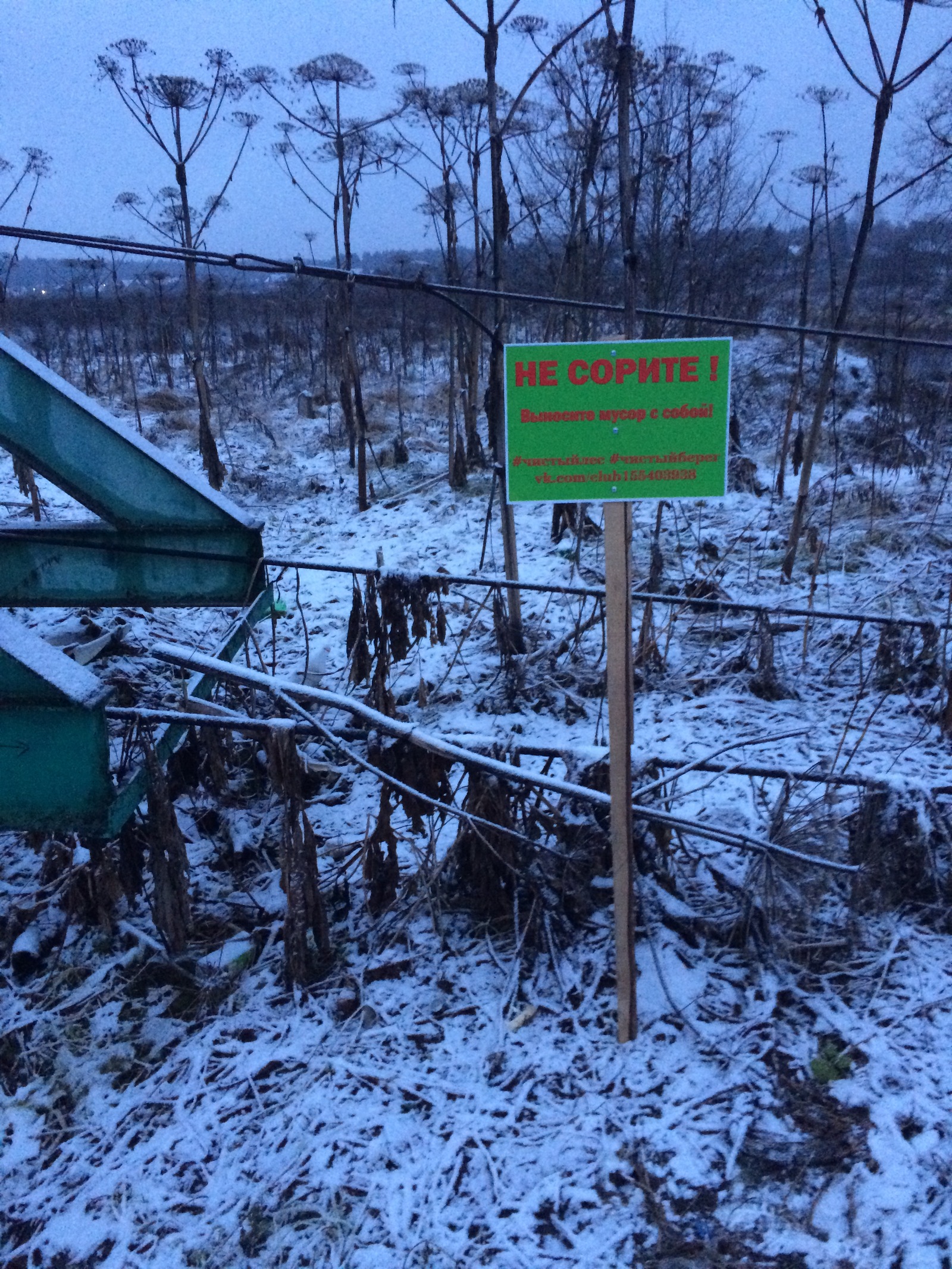 Probably the last cleaning in the Mozhaisk forest - My, Saturday clean-up, Clean forest, Shore, Chistoman, Pure Man's League, Cleaning, Longpost