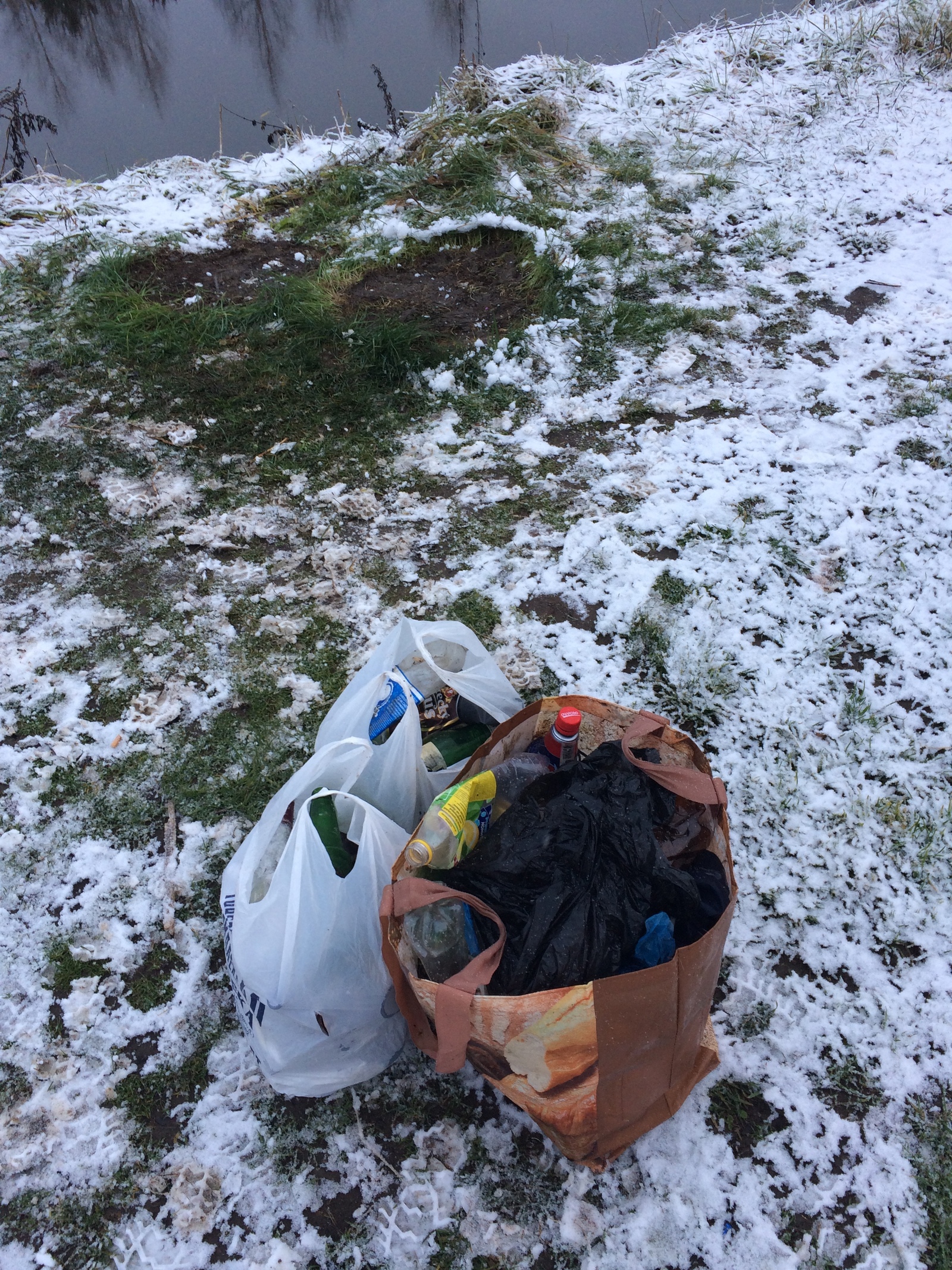 Probably the last cleaning in the Mozhaisk forest - My, Saturday clean-up, Clean forest, Shore, Chistoman, Pure Man's League, Cleaning, Longpost