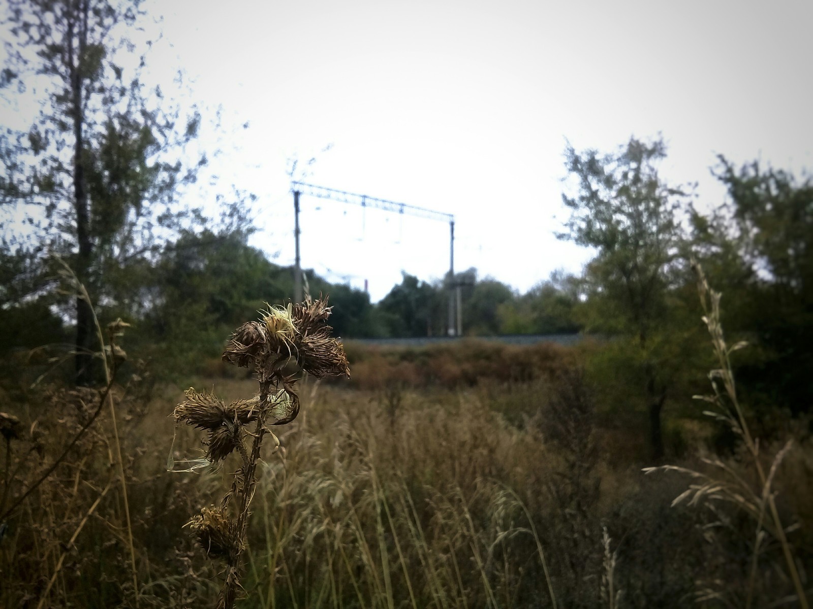 Orenburg (September-October) - My, The photo, Orenburg, Town, Nature, Photo on sneaker, Longpost