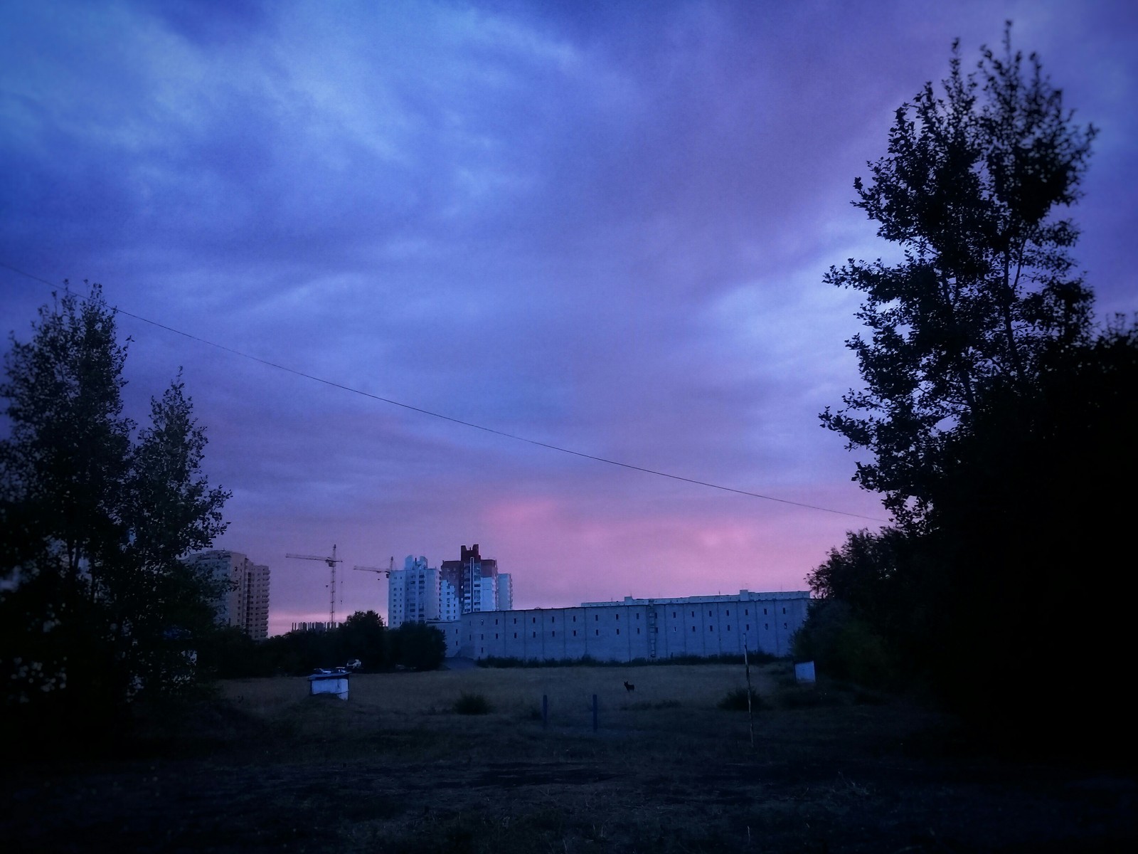 Orenburg (September-October) - My, The photo, Orenburg, Town, Nature, Photo on sneaker, Longpost