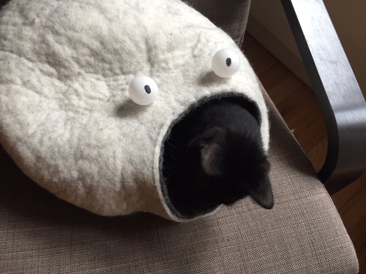 I sewed eyes onto a cat house and now it looks like a monster ate my cat - cat, House, Humor, Animals, The photo, Milota, Black, Longpost