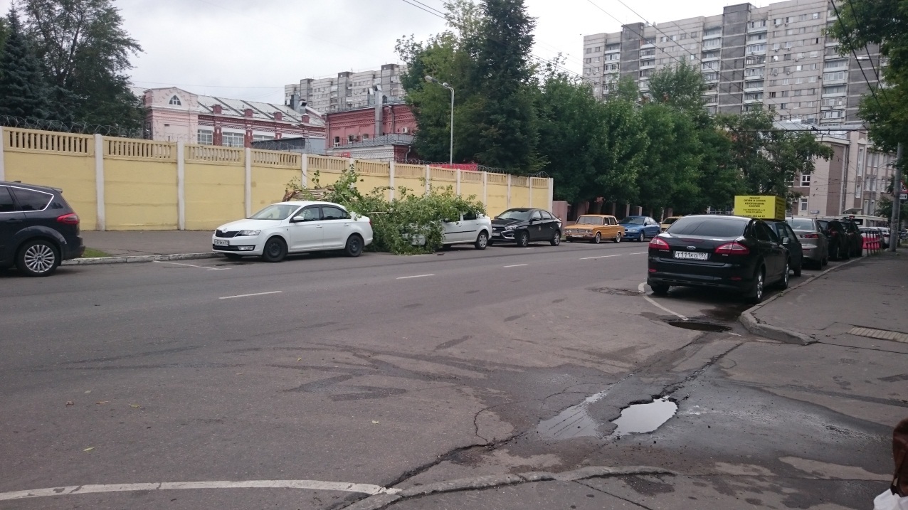 Improvement and gardening of Moscow. Real picture. - Beautification, Landscaping, Moscow, , Boiled, Longpost, Politics