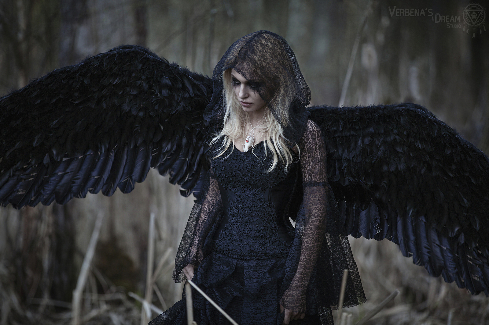 This is actually a post or even picture approximately the Black Angel by Ve...