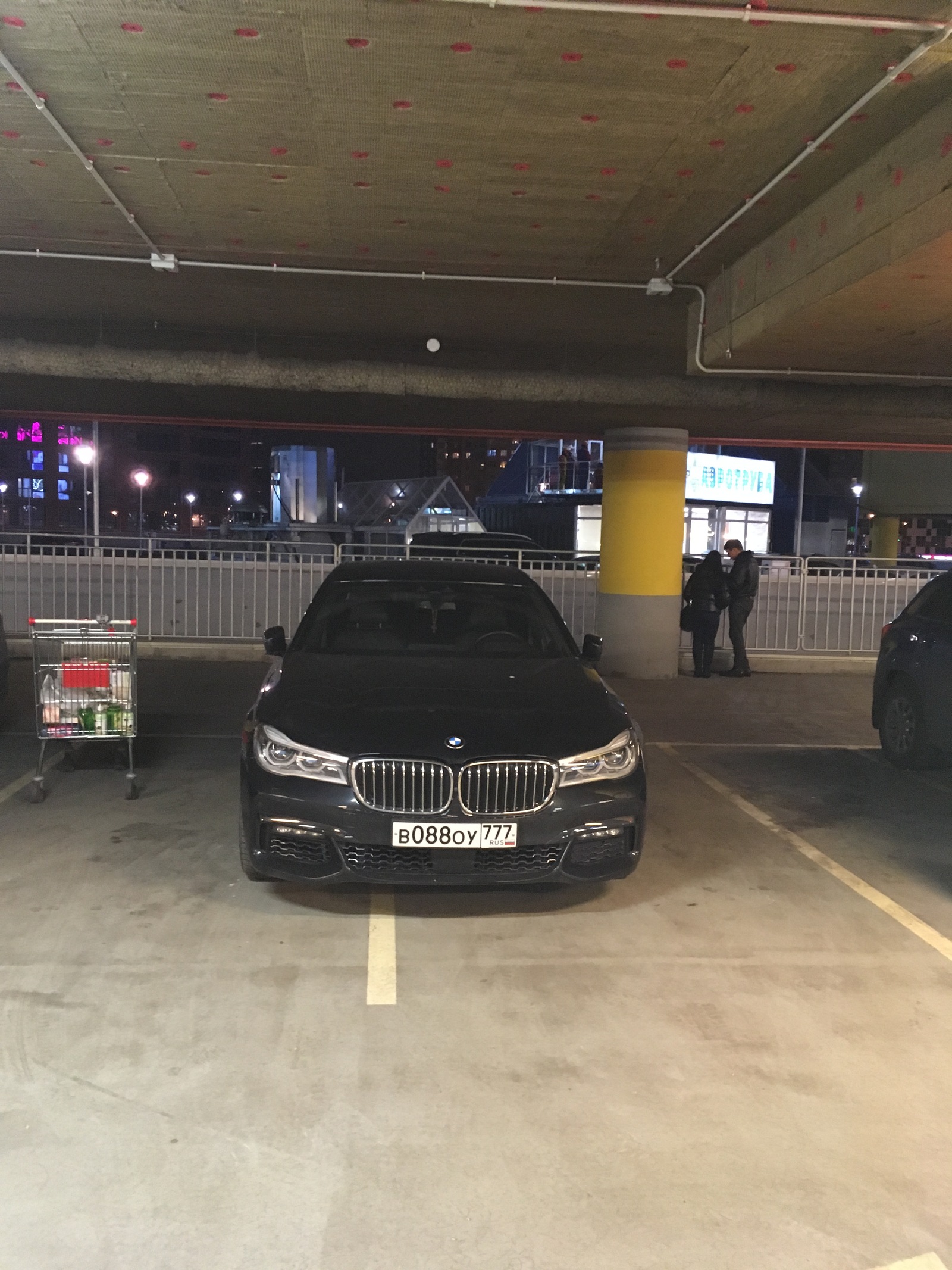 Another collection of parking mutants - My, Cattle, Schmuck, Parking, Неправильная парковка, Rudeness, Stopham, Longpost