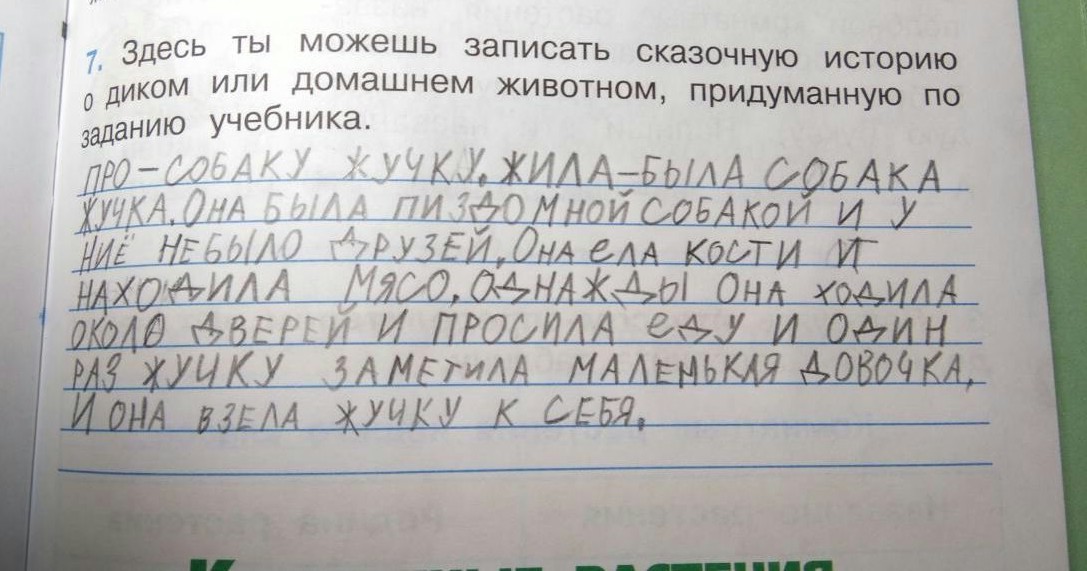 Про Жучку - Дети, Юмор, Сочинение, Домашняя работа, Описка