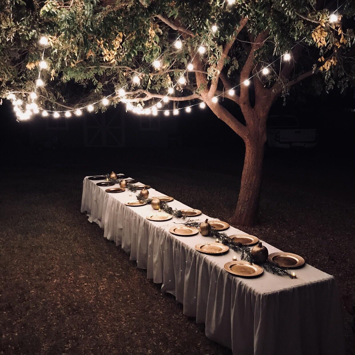 Cozy feast - Table, Nature, Thanksgiving Day