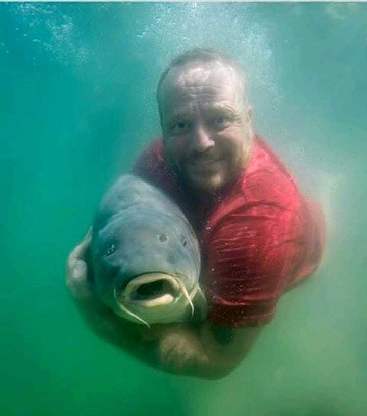 A smile for the fisherman's happiness - Fishing, Carp, With bare hands, Cyprinids, Trophy