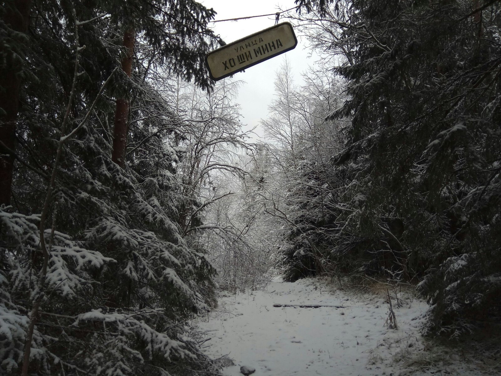 Winter creeps up on Peter - My, Tourism, Winter, Hawk Lake, Tag, Longpost