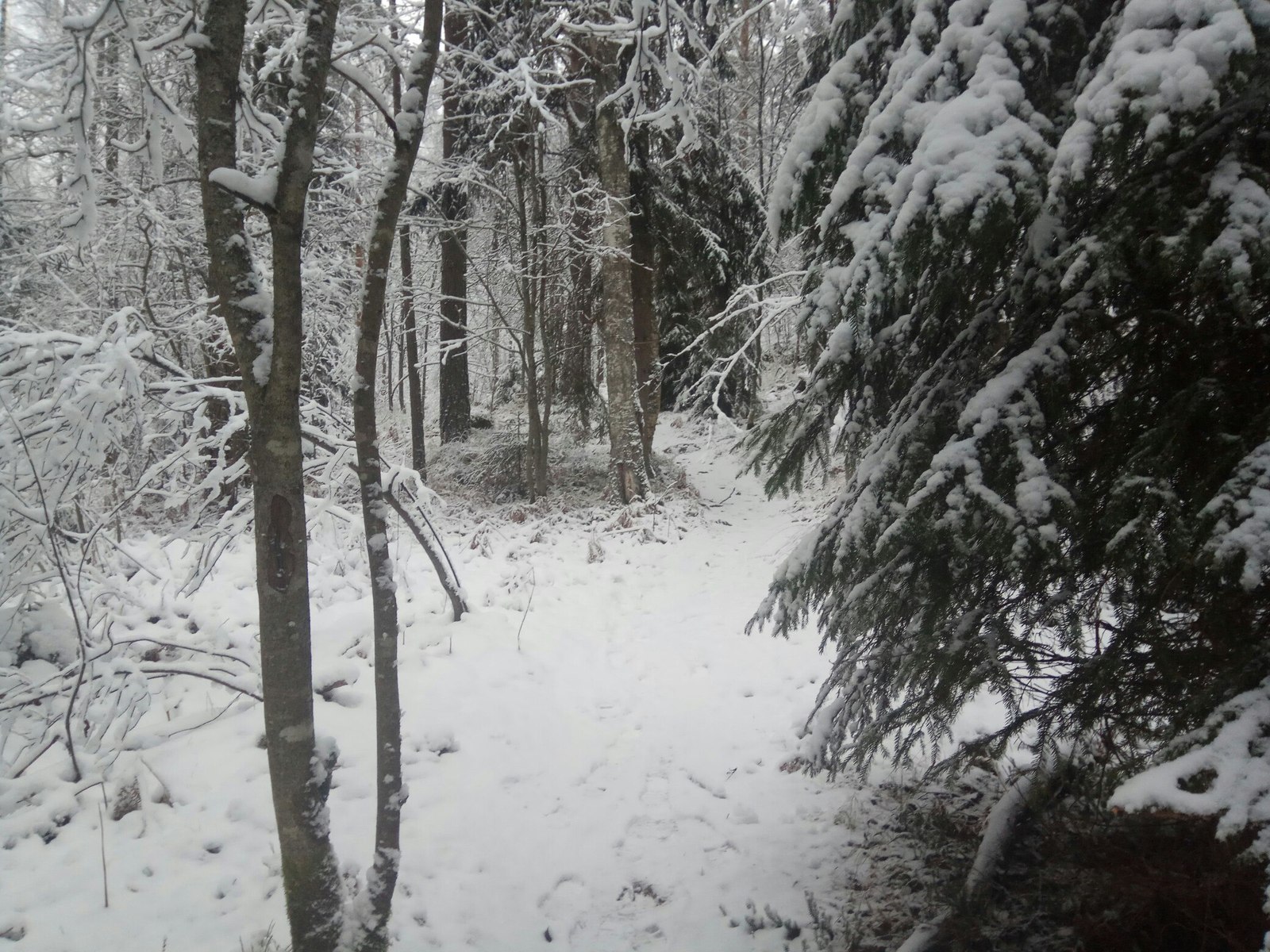 Winter creeps up on Peter - My, Tourism, Winter, Hawk Lake, Tag, Longpost