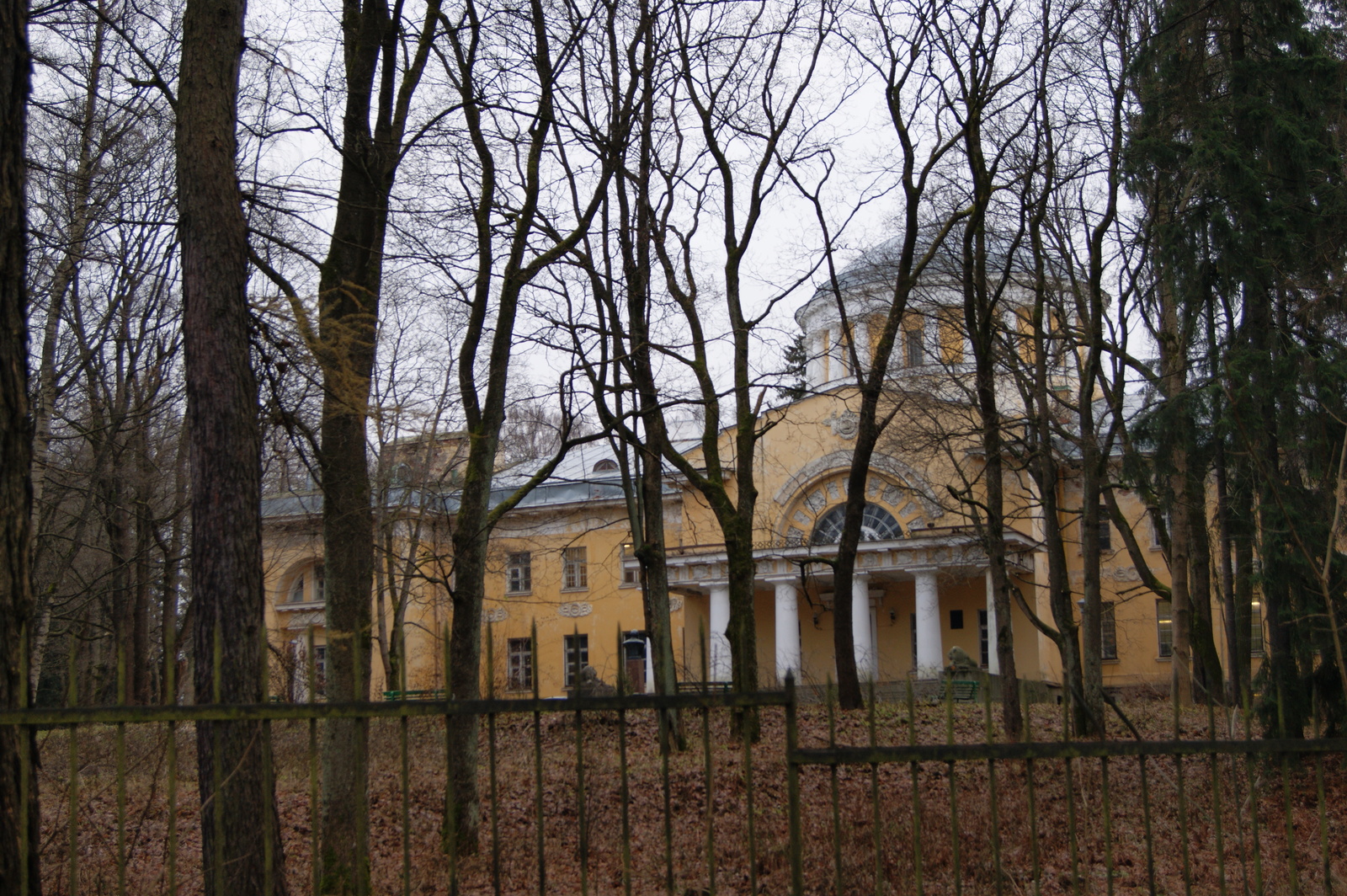 A piece of November - My, The photo, Ruin, Saint Petersburg, Shuvalovsky Park, Longpost